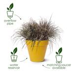 loft urban round wheels 40cm lavender lilac